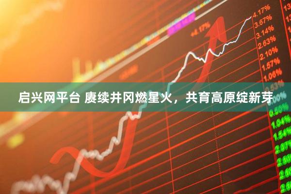 启兴网平台 赓续井冈燃星火，共育高原绽新芽