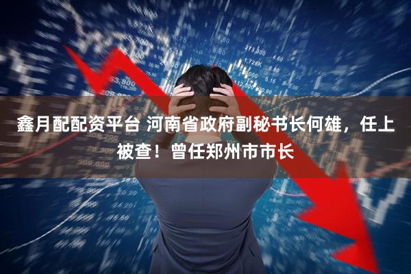 鑫月配配资平台 河南省政府副秘书长何雄，任上被查！曾任郑州市市长